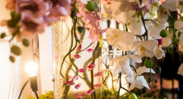 Listy orchidejí žloutnou - příčiny a způsoby eliminace